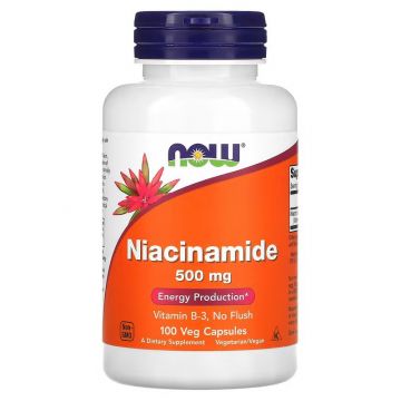 Niacinamide 500mg | NOW Foods. 733739004789