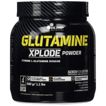 Glutamine Xplode Powder